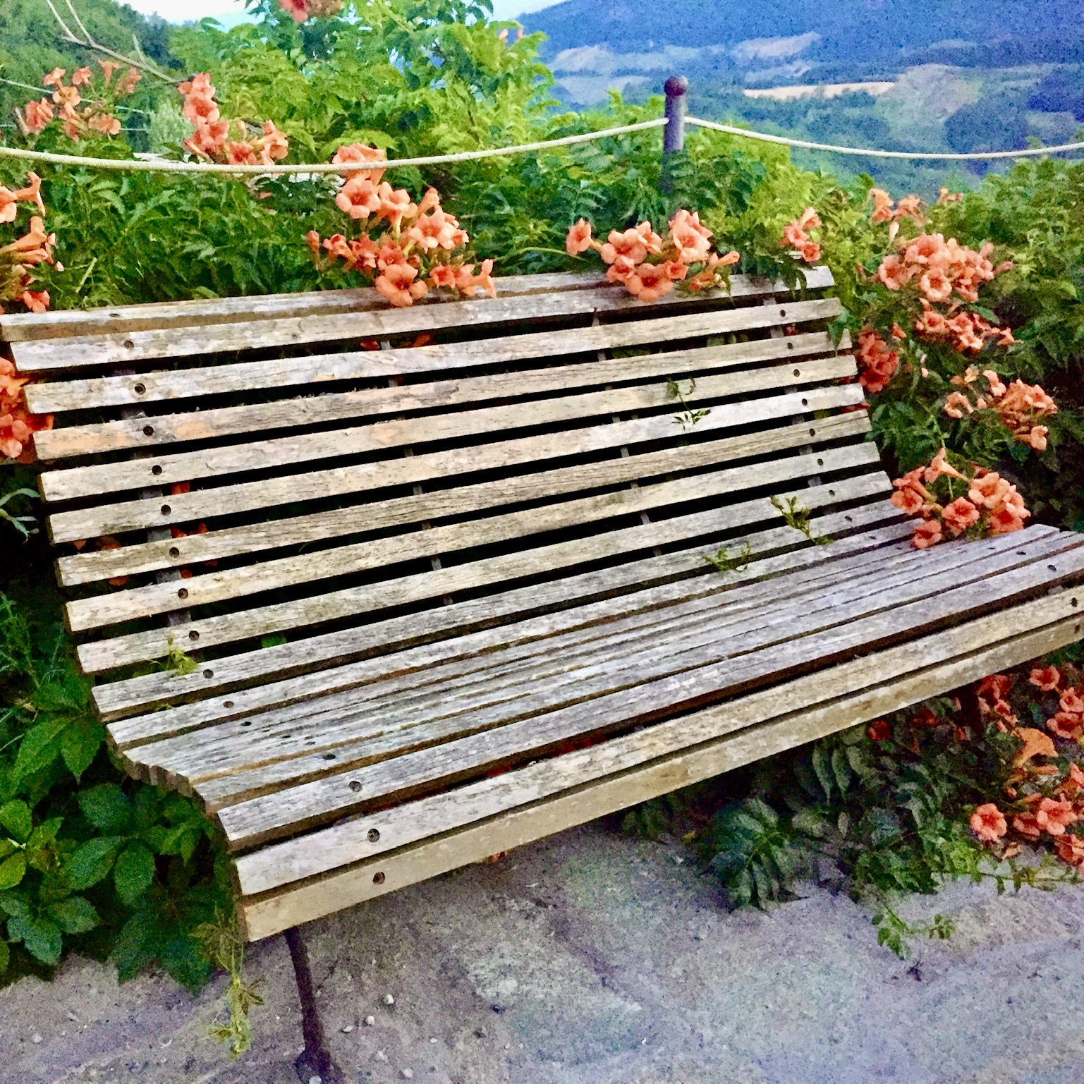 ACCOGLIAMO LA NATURA